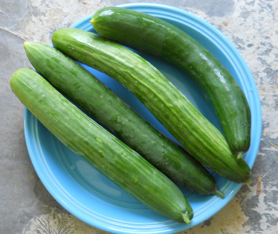 English_cukes_840w